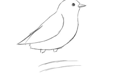 Поэтапное рисование птиц