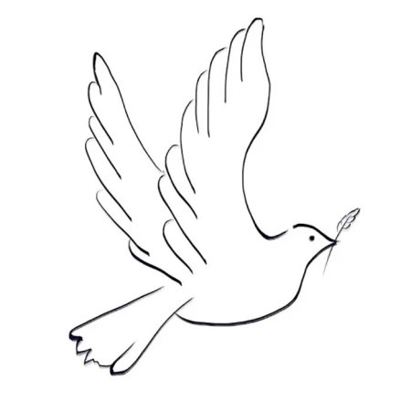 Рисование птиц для детей