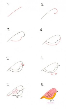 Птичка рисунок для детей карандашом
