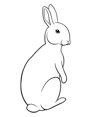 Рисовалка зайчик