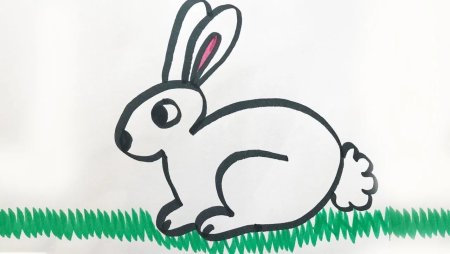 Зайчик для рисования для детей