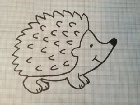 Ежик рисунок легкий