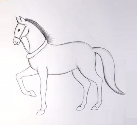 Этапы рисования лошади для детей