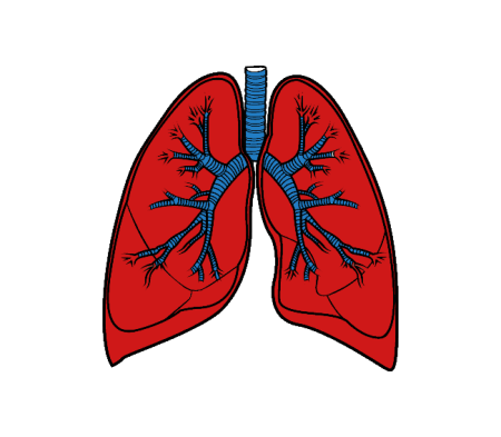 Легкие человека для детей
