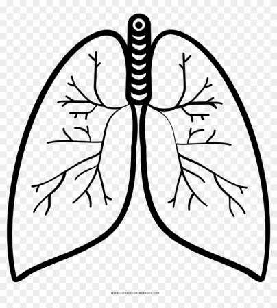 Легкие человека для детей