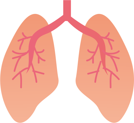 Раскраска легкие человека