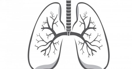 Здоровые легкие мультяшка
