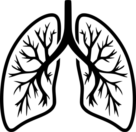 Легкие рисунки