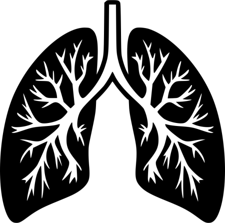 Веселые легкие