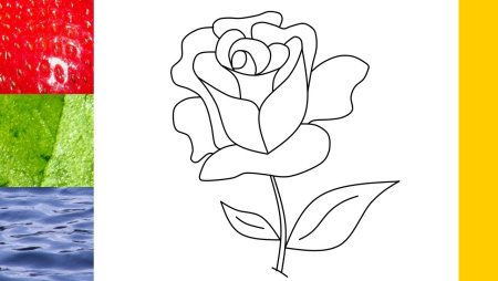 Роза рисунок карандашом для детей