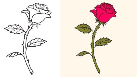 Роза срисовать