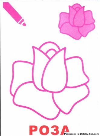 Этапы рисования розы