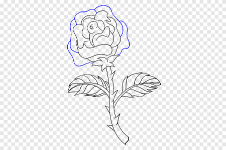 Маленькие розочки карандашом