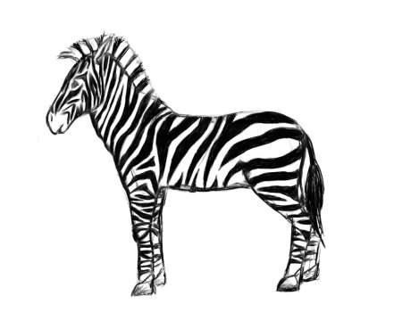 Нарисовать зебру