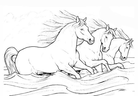 Как же поэтапно нарисовать лошадь?