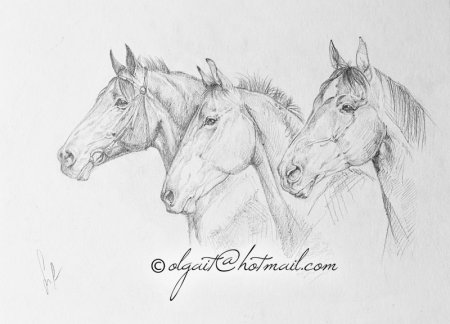 Тройка лошадей карандашом