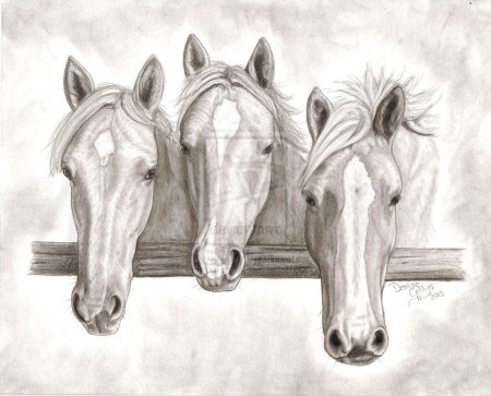 Тройка лошадей карандашом