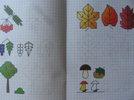 Косички по клеточкам