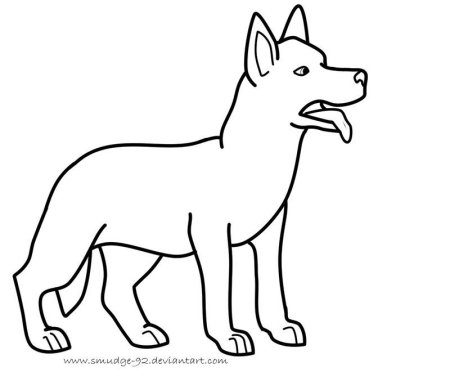 Раскраска собака овчарка