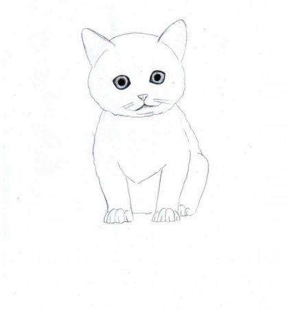 Котики для рисования для начинающих