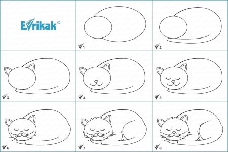 Спящий кот рисунок карандашом