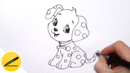 Нарисовать собаку породы лабрадор