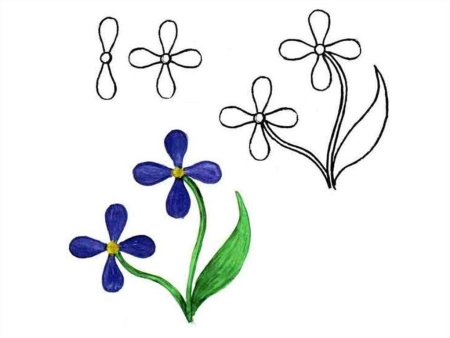 Фиалка узамбарская рисунок