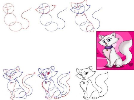 Рисунок кошки легкий для детей