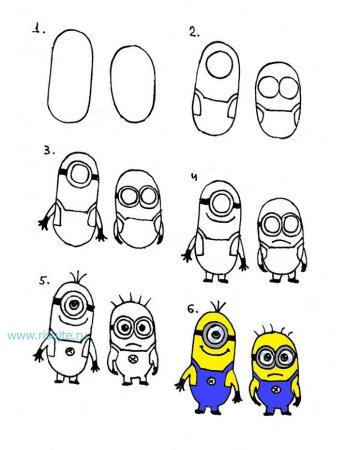 Раскраска авокадо