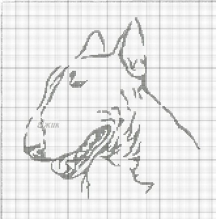 Бультерьер схема