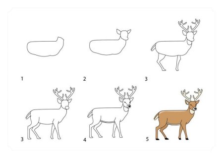 Олень рисунок карандашом для детей
