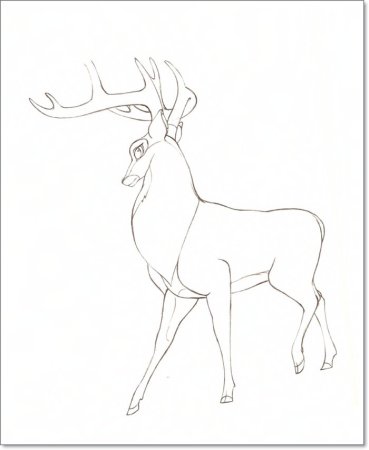 Олень карандашом
