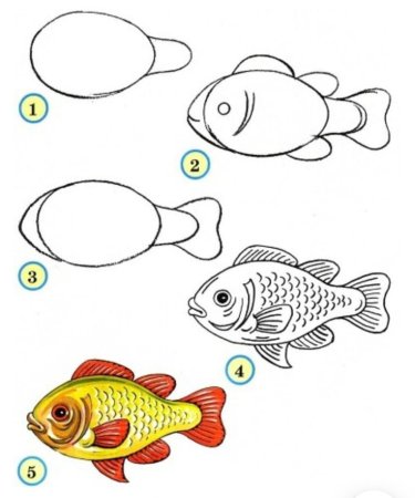 Пошаговые рисунки карандашом