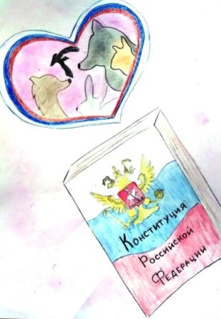 Конституция глазами детей