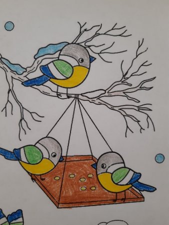 Рисование на тему птицы синицы