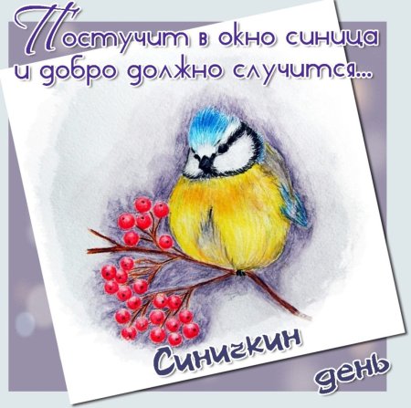 Синичка раскраска для детей