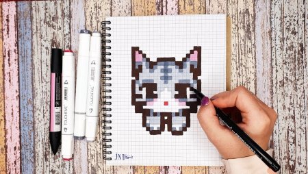 Кошечка по клеткам