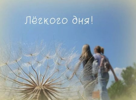 Легкого дня любимый