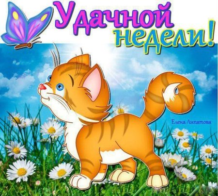 Доброе утроьпонедельника