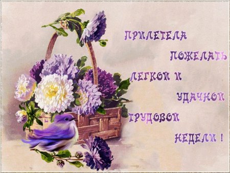 Лёгкого понедельника и хорошего дня