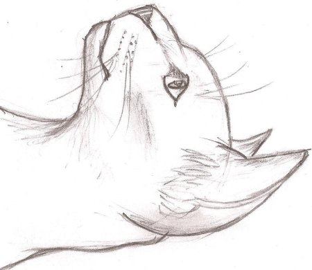 Милые мультяшные животные