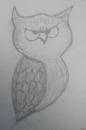 Рисунки для срисовки лёгкие