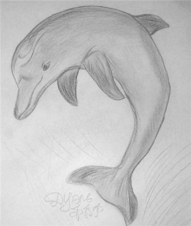 Рисунки для срисовки лёгкие