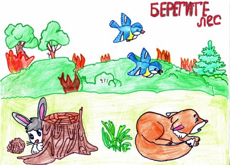 Рисунок на тему береги природу