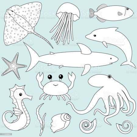 Морские рисунки