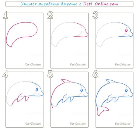 Как нарисовать дельфина поэтапно