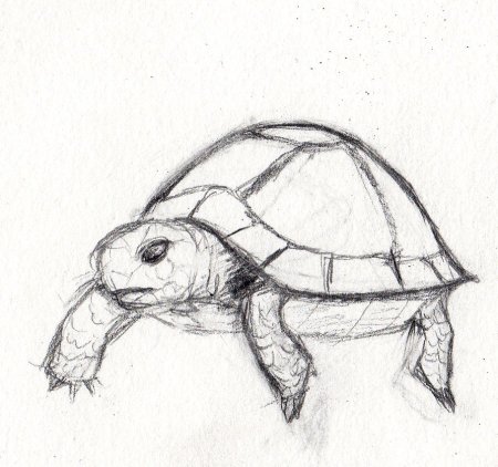 Рисование на свободную тему