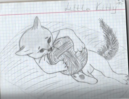 Рисунок карандашом лёгкий для срисовки