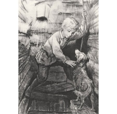 Гарин-Михайловский тема и жучка иллюстрации