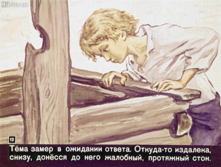 Николай Гарин-Михайловский тёма и жучка